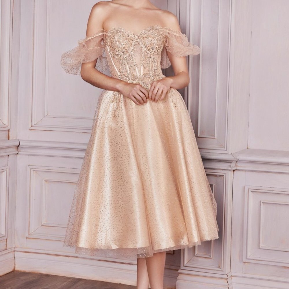 NEW MIDI FLORAL TULLE EMBROIDERED DRESS WITH PUFF SLEEVES AND ZIPPER BACK CD0187 - Picture 6 of 11